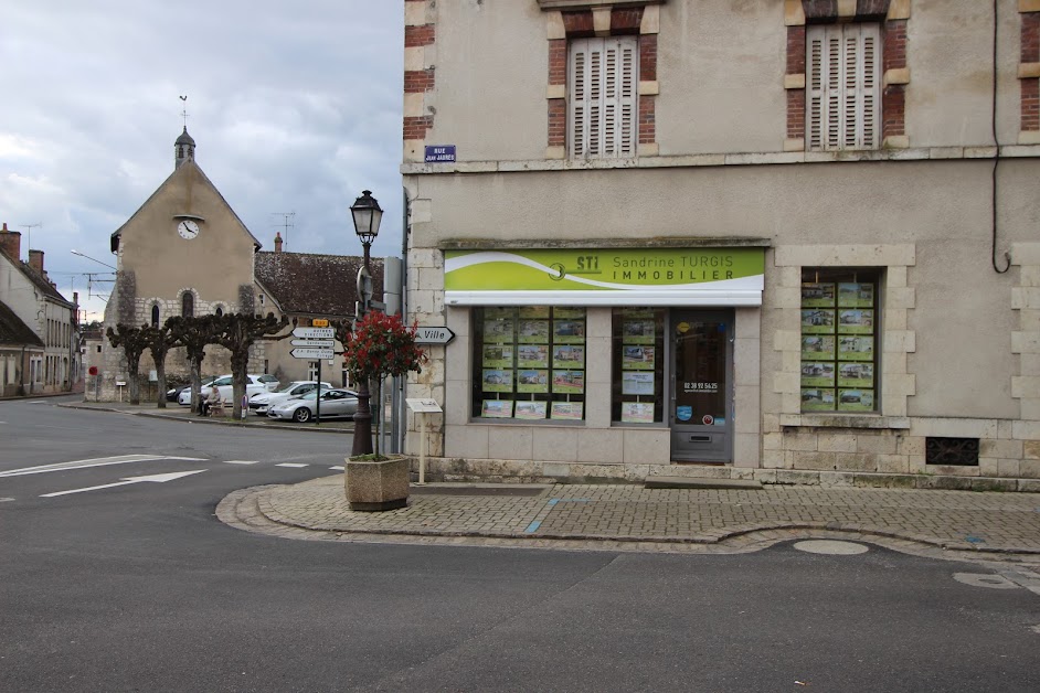 Sandrine Turgis Immobilier à Châtillon-Coligny (Loiret 45)