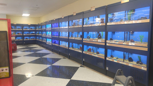 Pet Supply Store «Petco Animal Supplies», reviews and photos, 188 Kitts Ln, Newington, CT 06111, USA