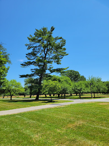 Museum «Franklin D. Roosevelt Presidential Library and Museum», reviews and photos