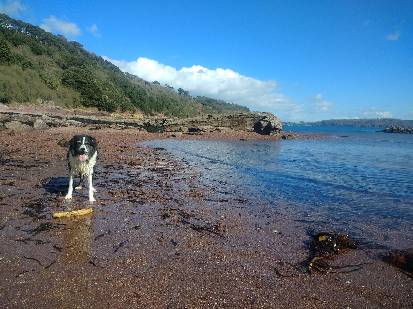 Foto de Sandways beach con agua turquesa superficie