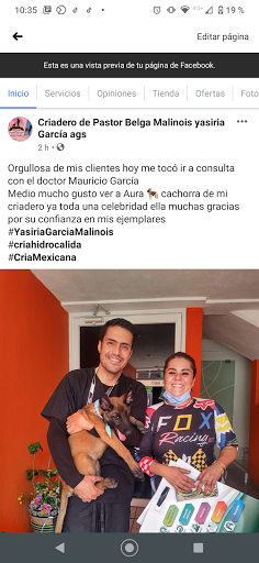 Criadero Pastor Belga Malinois Yasiria Garcia Ags