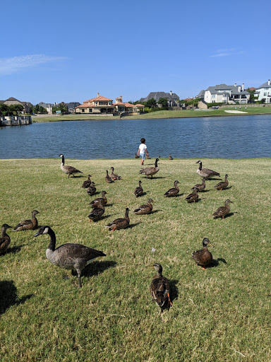 Private Golf Course «The Lakes at Castle Hills», reviews and photos, 699 Lady of the Lake Blvd, Lewisville, TX 75056, USA