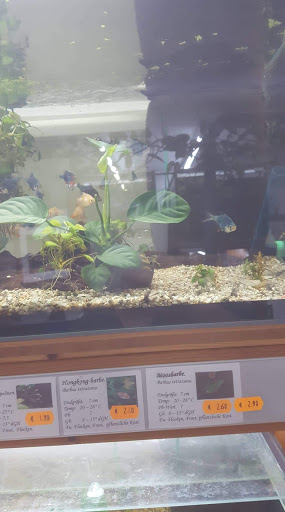 Robert Braungart Aquaristik Fachhandel unter Hohenroth, 