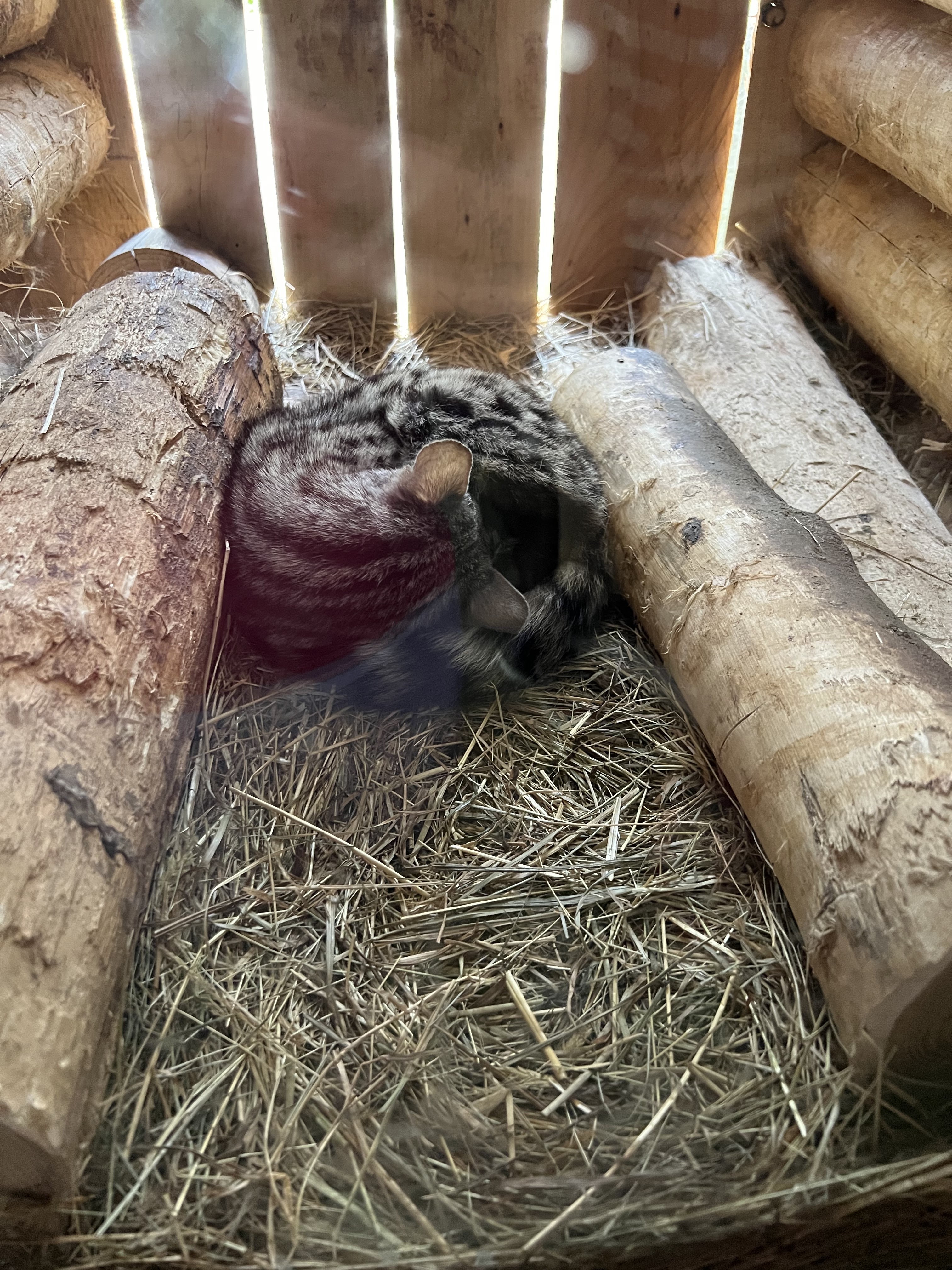 Photo n° 2 de l'avis de Fish.n fait le 11/09/2022 à 15:55