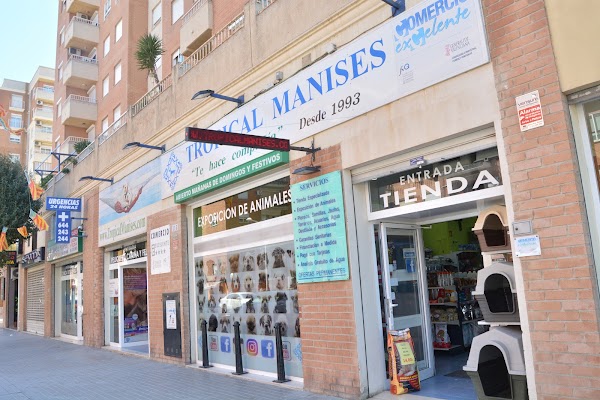 Imagen de Tropical Manises (2 de 15)
