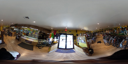 Bicycle Rental Service «Island Bike Shop», reviews and photos, 1095 Bald Eagle Dr, Marco Island, FL 34145, USA