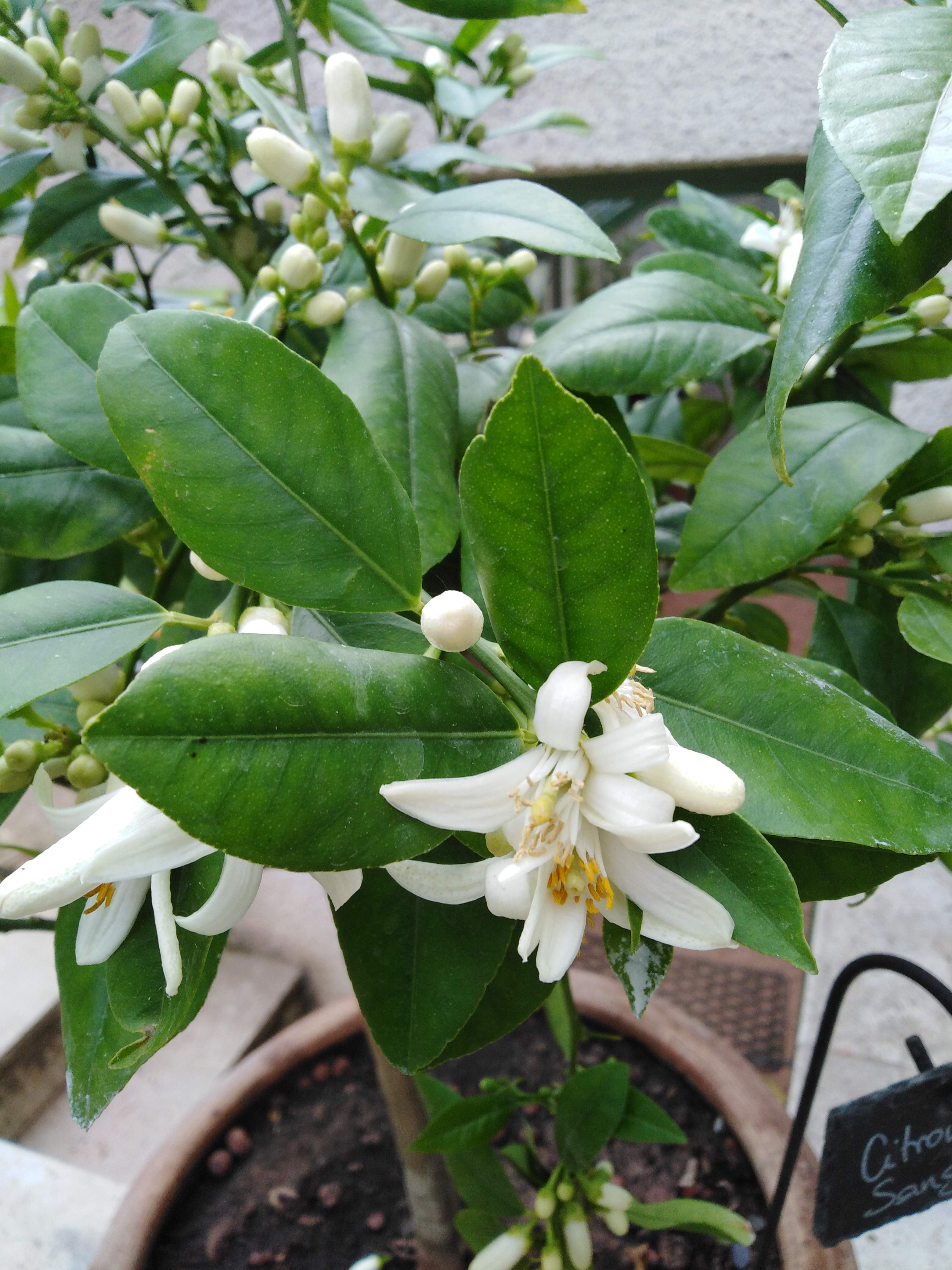 Photo n° 5 de l'avis de Chantal.o fait le 29/04/2019 à 06:14