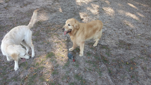 Stadium «Raymond James Stadium», reviews and photos, 4201 N Dale Mabry Hwy, Tampa, FL 33607, USA