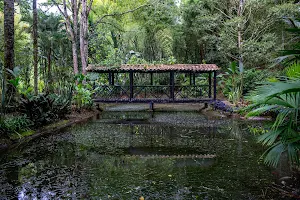 Jericó Botanical Garden image
