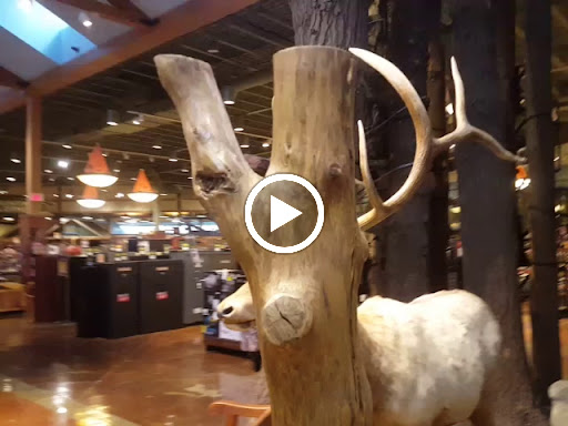 Sporting Goods Store «Bass Pro Shops», reviews and photos, 6112 W Grand Ave, Gurnee, IL 60031, USA