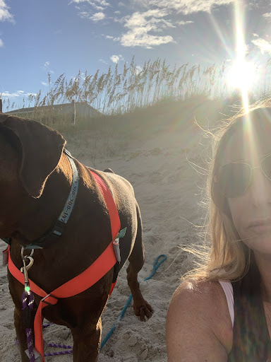 Pet Supply Store «PetSmart», reviews and photos, 5226 S College Rd, Wilmington, NC 28412, USA