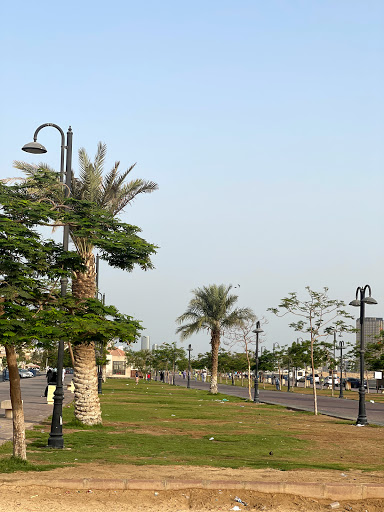 Fayhaa Park