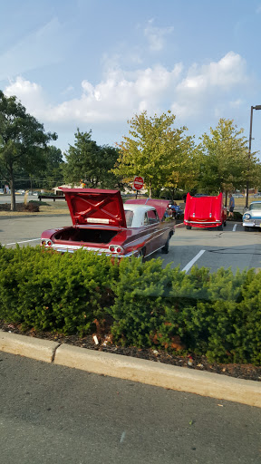 Dollar Store «Dollar Tree», reviews and photos, 423 US-46, Dover, NJ 07801, USA