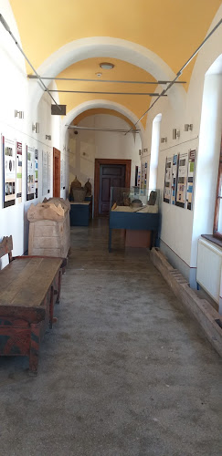 orar Muzeul de Istorie și Arheologie
