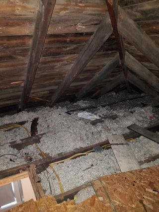 Animal Control Service «Xceptional Wildlife Removal», reviews and photos