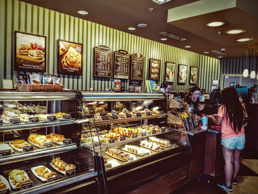 Book Store «Barnes & Noble», reviews and photos, 3111 W Chandler Blvd, Chandler, AZ 85226, USA