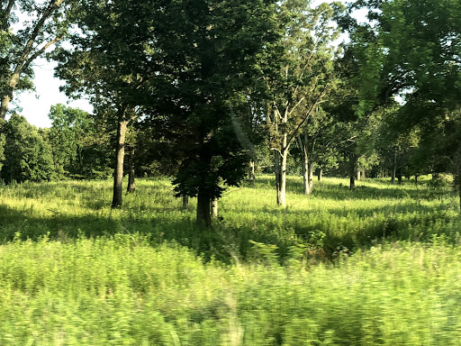 Nature Preserve «Elk and Bison Prairie», reviews and photos, Elk & Bison Prairie Rd, Golden Pond, KY 42211, USA