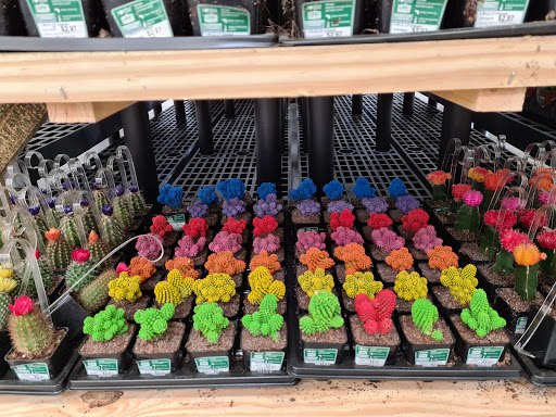 Department Store «Walmart Supercenter», reviews and photos, 5200 Windward Pkwy, Milton, GA 30004, USA