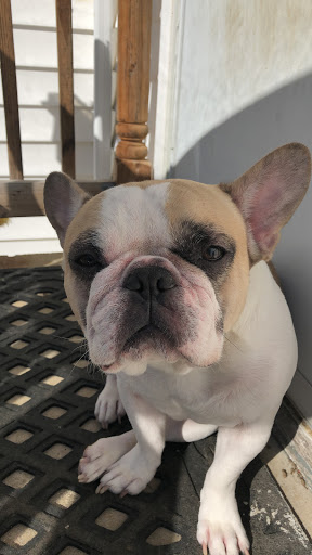 Amusement Center «iPlay America», reviews and photos, 110 Schanck Rd, Freehold, NJ 07728, USA