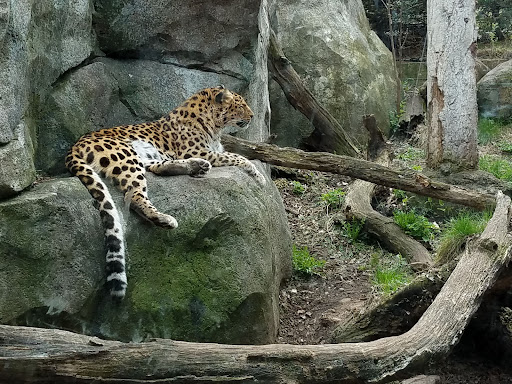 Zoo «Minnesota Zoo», reviews and photos, 13000 Zoo Blvd, Apple Valley, MN 55124, USA