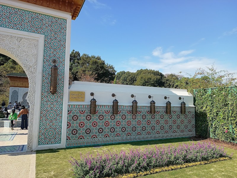 Moroccan Royal Rose Garden