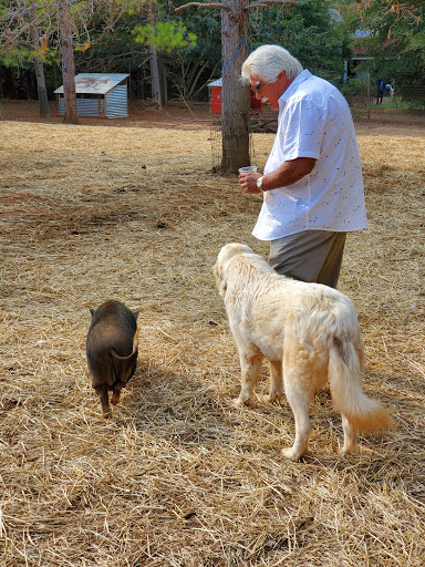 Sweet olive Farm animal rescue