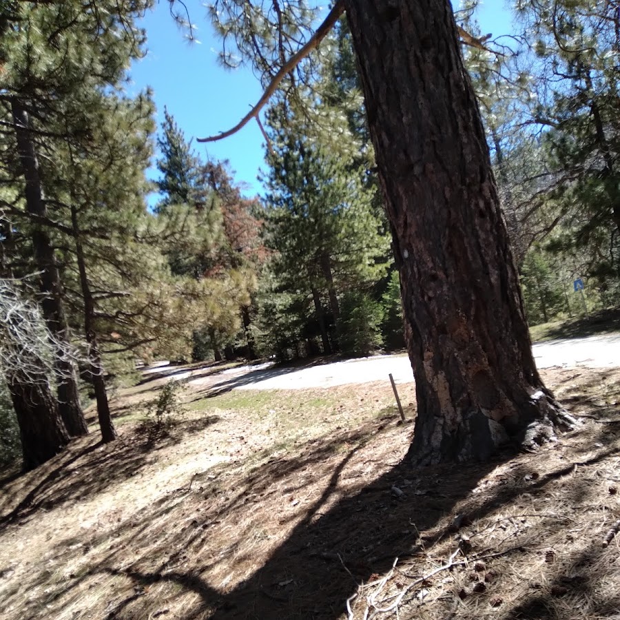 Tehachapi Mountain Park Entrance