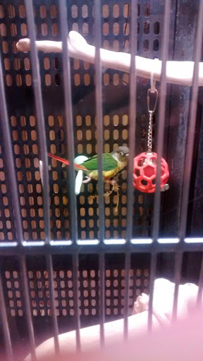 Pet Supply Store «PetSmart», reviews and photos, 2818 S Louise Ave, Sioux Falls, SD 57106, USA