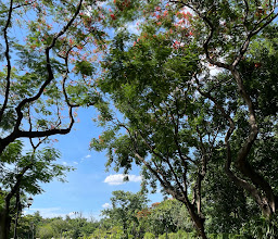 Queen Sirikit Park photo