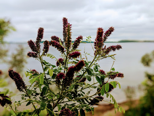 Park «Lake Waconia Regional Park», reviews and photos, 8170 Paradise Ln, Waconia, MN 55387, USA