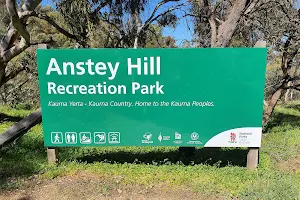 Anstey Hill Recreation Park image