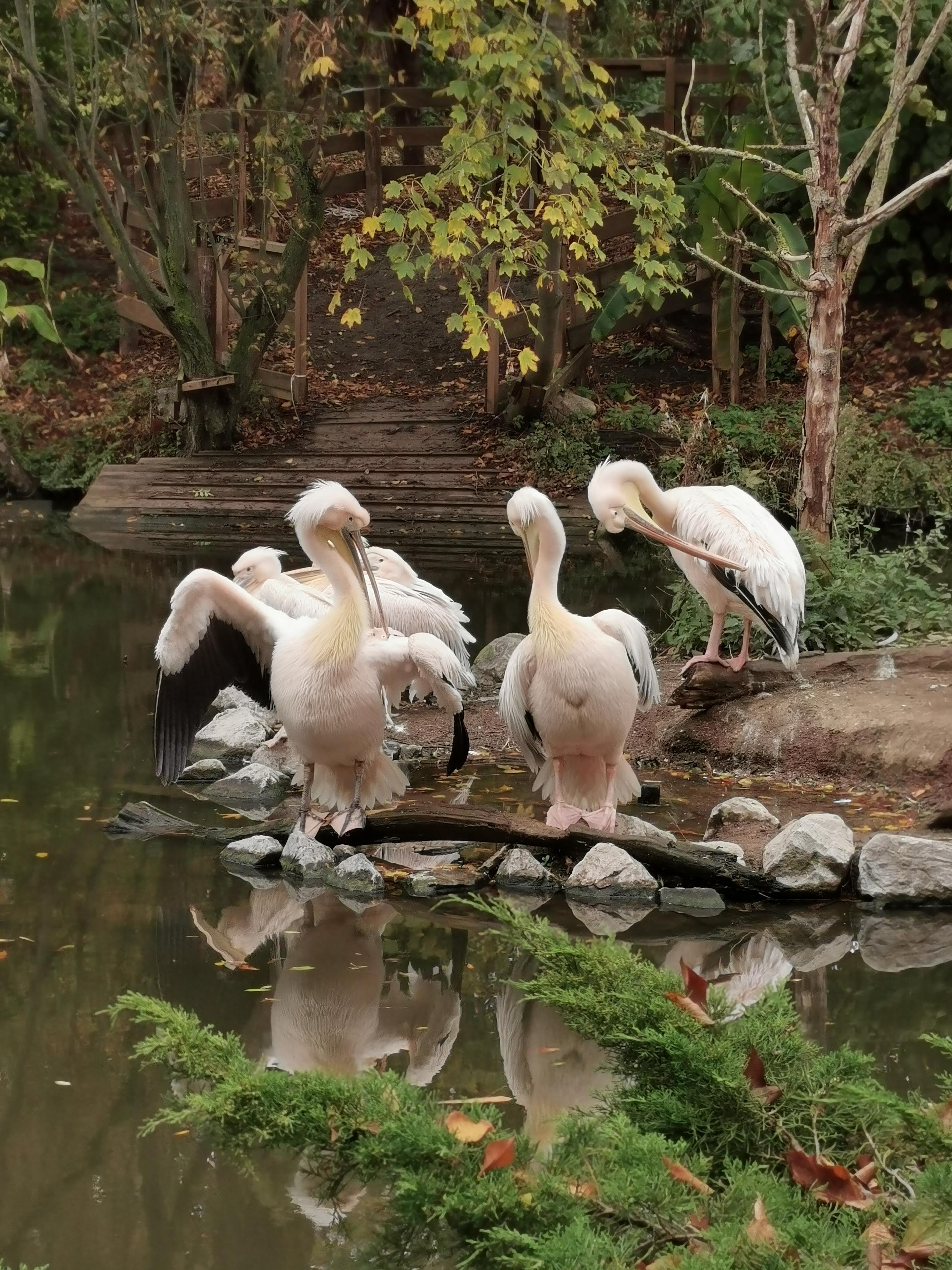 Photo n° 3 de l'avis de Melanie.E fait le 25/10/2020 à 20:05