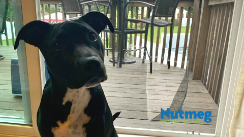 25 Charles St, Stratford, CT 06615, USA