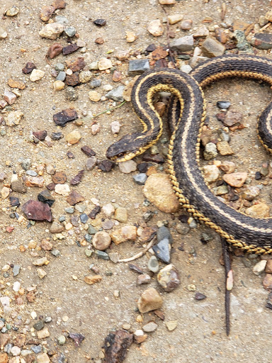 Observatory «Blue Hill Observatory Science Center Inc», reviews and photos, 1 Observatory Service Rd, Milton, MA 02186, USA