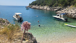 Photo de Beach Skvaranska avec un niveau de propreté de très propre