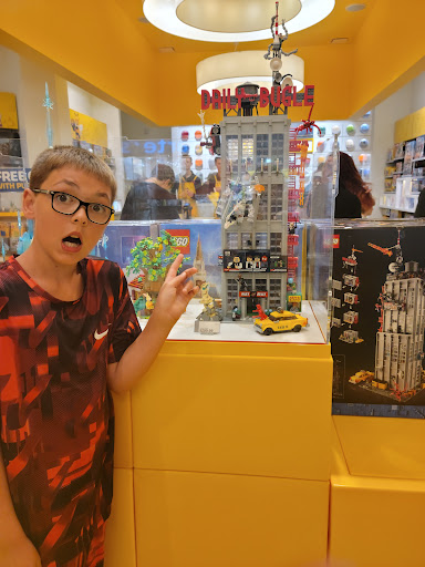 Toy Store «The LEGO Store», reviews and photos, 26300 Cedar Rd, Beachwood, OH 44122, USA