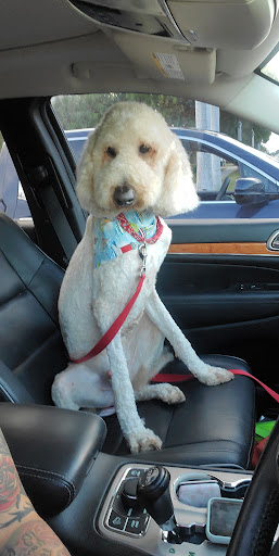 Pet Groomer «Mario`s Pet Grooming & Boutique», reviews and photos, 708 SE 17th St, Fort Lauderdale, FL 33316, USA