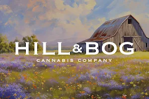 Hill & Bog Cannabis Company image