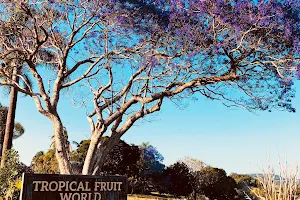 Tropical Fruit World image