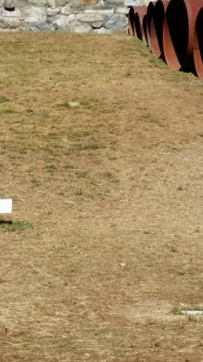 Art Museum «deCordova Sculpture Park and Museum», reviews and photos, 51 Sandy Pond Rd, Lincoln, MA 01773, USA