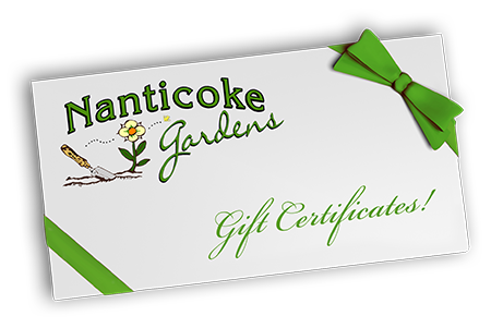 Garden Center «Nanticoke Gardens», reviews and photos, 1543 Union Center Maine Hwy, Endicott, NY 13760, USA