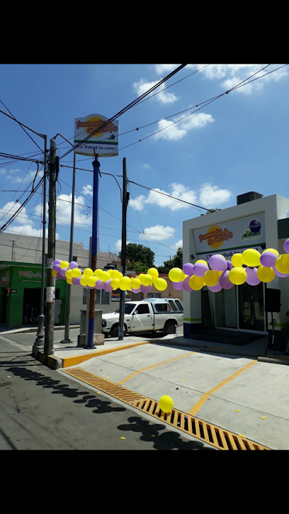 Farmacia De Cristo Calle 7 300, San Pedro, 94910 Cuitlahuac, Ver. Mexico