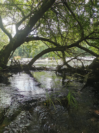 Área de Descanso - Couso