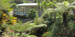 Whangarei Quarry Gardens