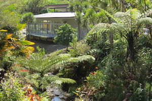 Whangarei Quarry Gardens