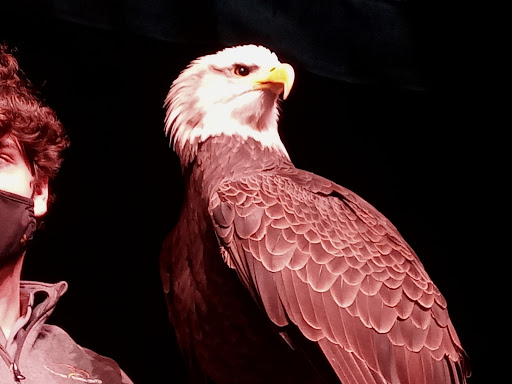 Performing Arts Theater «Princess Theatre», reviews and photos, 112 2nd Ave NE, Decatur, AL 35601, USA