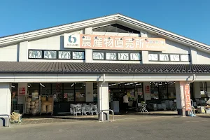 Agresh Kawagoe Roadside Station image