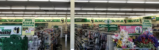 Dollar Store «Dollar Tree», reviews and photos, 3092 N Eastman Rd Ste 102, Longview, TX 75605, USA