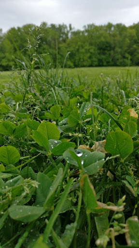 Park «Bonsall Park», reviews and photos, 3000 Silverside Rd, Wilmington, DE 19810, USA