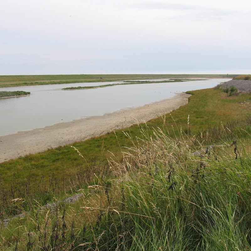 Ottersaat | Natuurmonumenten